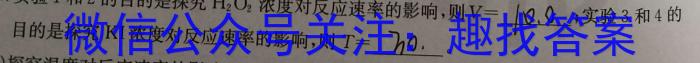 q河南省2023-2024学年度上学期九年级期中教学质量监测化学