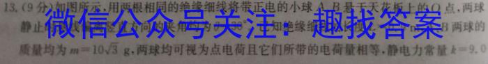 江西省2024届九年级初中目标考点测评（十一）物理`