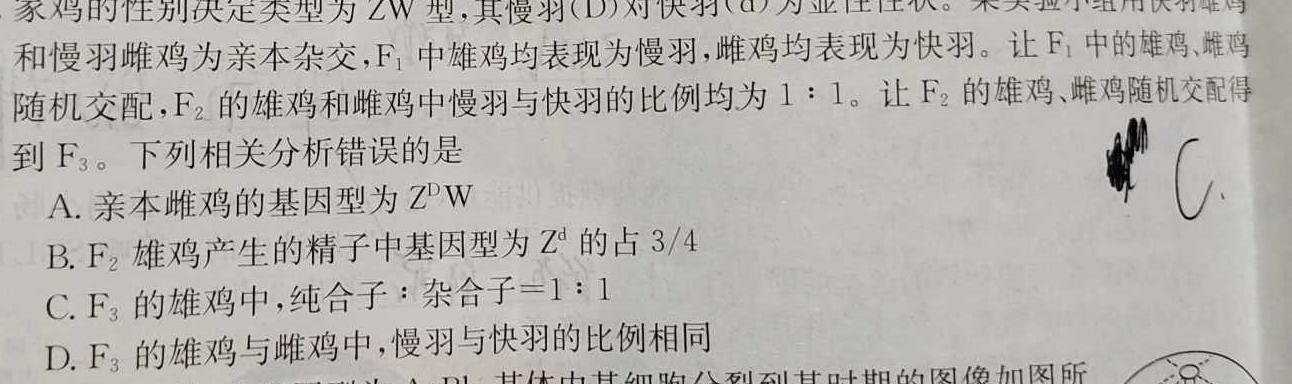 山东省潍坊市2023-2024学年高一上学期期中质量监测生物学试题答案