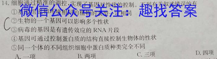 安徽省2024届九年级阶段评估(二)3L R生物学试题答案