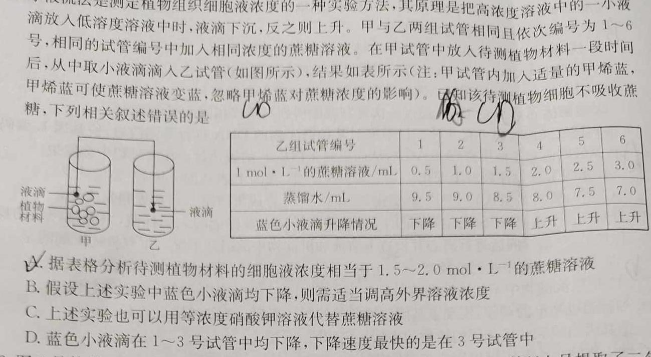 金科大联考2023-2024学年度高一11月质量检测(24226A)生物学试题答案