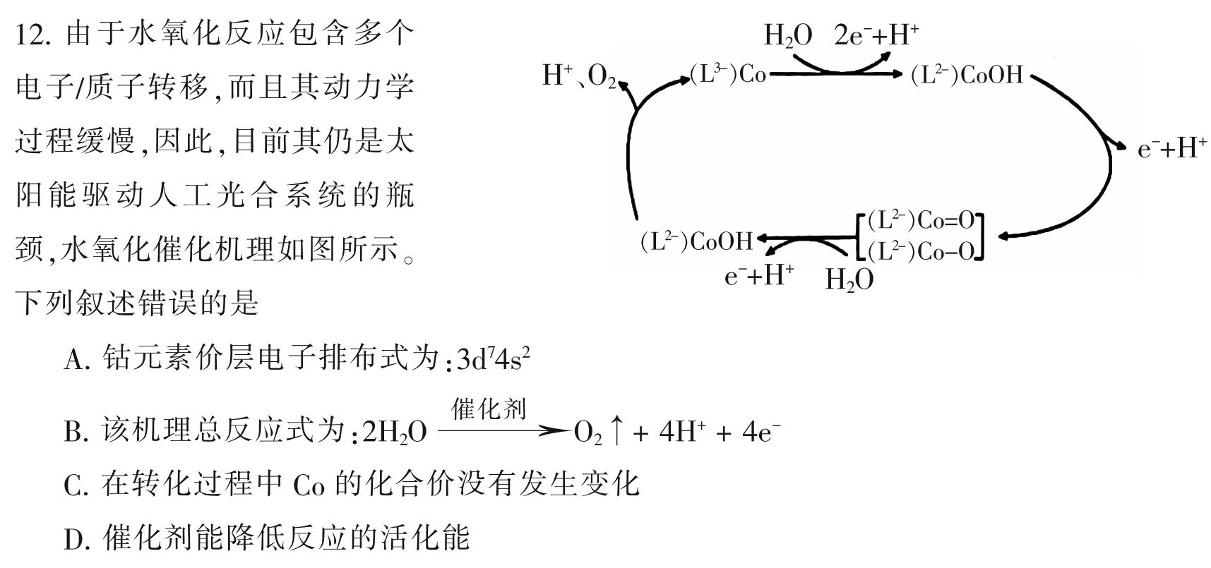 1安徽省2024届第一学期九年级12月阶段练习化学试卷答案