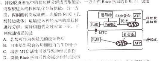 天一大联考 2023-2024学年(上)高二期中考试生物