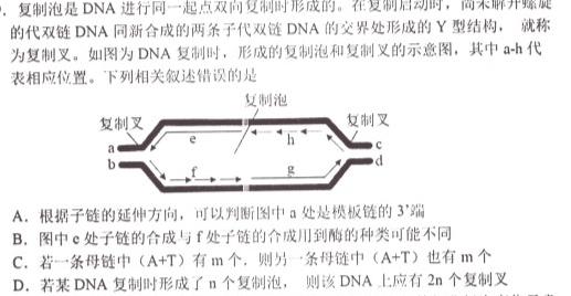 丹东市2023年高一年级普通高中教学质量调研测试生物学试题答案