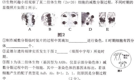 百师联盟2024届高三仿真模拟考试全国卷(三)生物