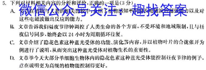 福建省2024届高三11月质量检测(FJ)/语文