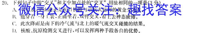 衡水金卷先享题摸底卷2023-2024高三一轮复习摸底测试卷(广西专版)3/语文