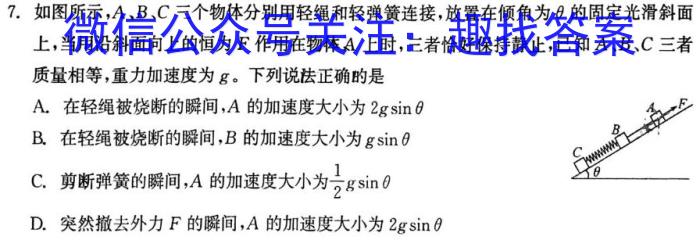 江西省2023年南昌县九年级第一次评估检测(24-10-CZ45c)物理试卷答案