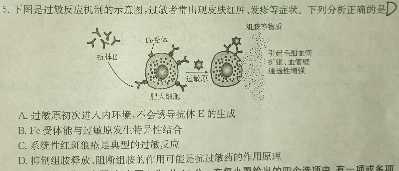 安徽省2023-2024学年度七年级上学期阶段性练习（三）生物学试题答案