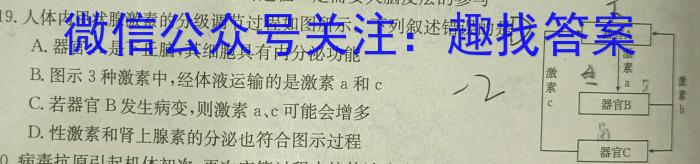 江西省2024届九年级上学期质量监测考试生物学试题答案