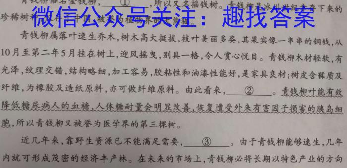 衡水金卷先享题分科综合卷2024届新教材B二/语文