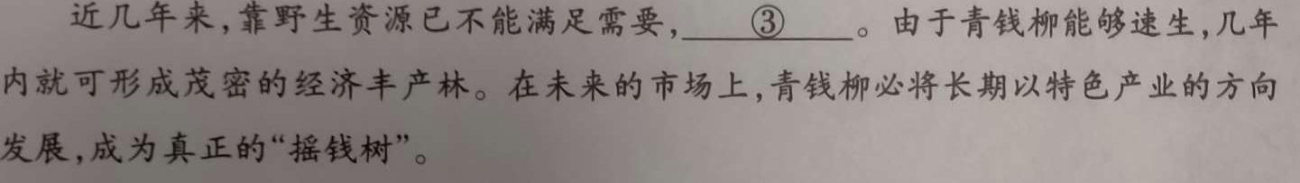 学科网2024届高三12月大联考(新课标卷)语文试卷 答案