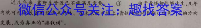 山西省2023-2024学年度第一学期九年级期中教学质量监测/语文