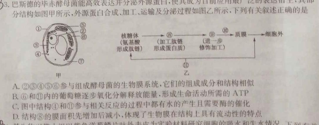 陕西省米脂中学2023年高二秋季学期月考试题(242369Z)生物学试题答案