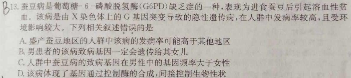 山东省泗水县2023-2024学年第一学期高二年级期中考试生物学试题答案