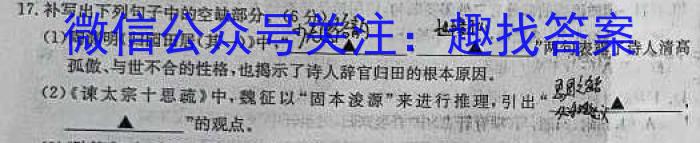 福建省2023-2024学年高中毕业班第一学期期中考试（11月）/语文