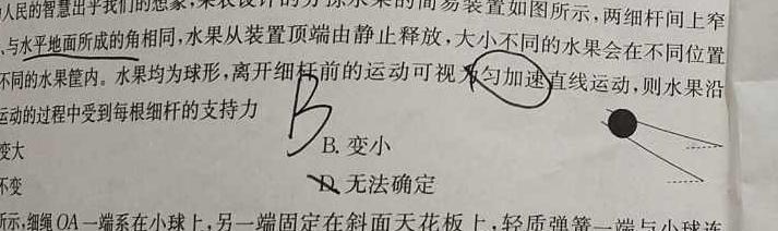 [今日更新]［山东大联考］山东省2024届高三年级上学期12月联考.物理试卷答案