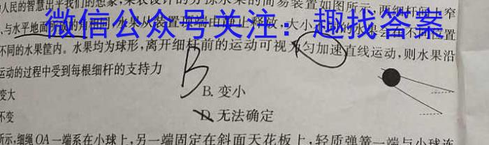 河北省石家庄赵县2023-2024学年度九年级第一学期完美测评②物理试卷答案