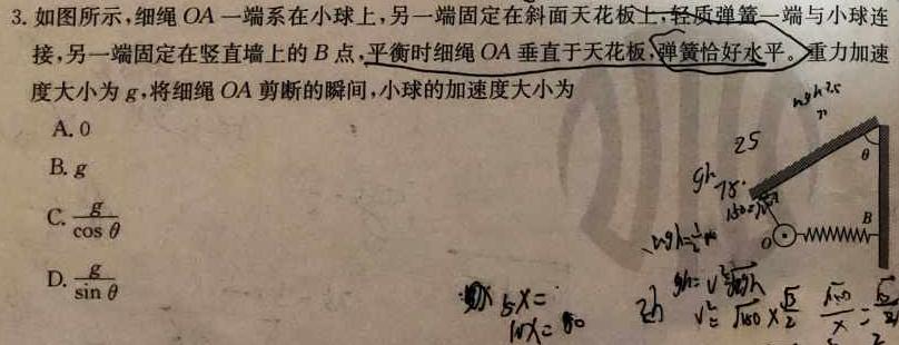 [今日更新]2023-2024学年陕西省高一12月联考(↑↑).物理试卷答案