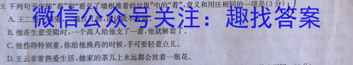 衡水金卷先享题2023-2024摸底卷新教材答案语文