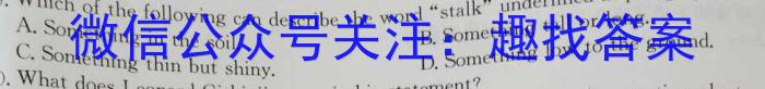 2024新高考单科综合卷(六)英语