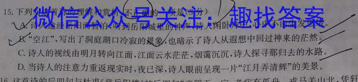 徽师联盟安徽省2024届高三12月质量检测卷语文