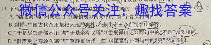 安徽省霍邱县2023-2024学年度八年级第一学期期中考试/语文