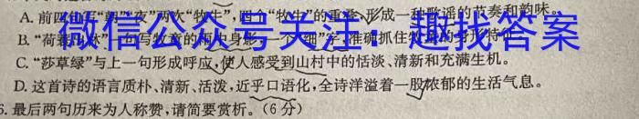 河北省2023-2024学年六校联盟高二年级期中联考（242258D）语文