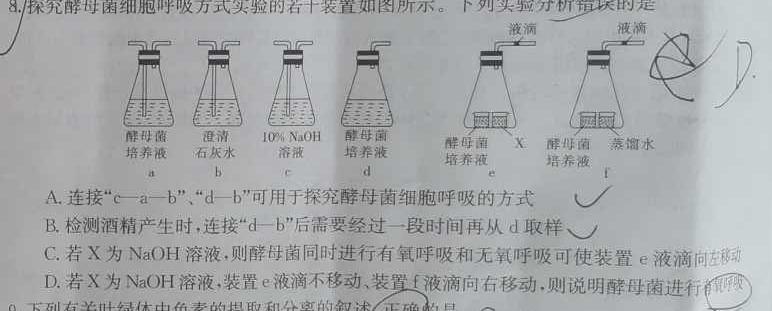 2023年广西三新学术联盟高三年级11月联考生物学试题答案