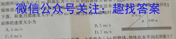 河北省2023-2024学年度第一学期八年级期中质量监测物理试卷答案