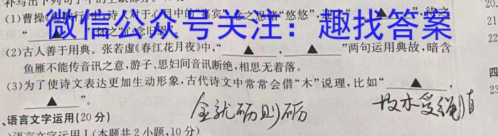 浙江省金丽衢十二校2023学年高三第一次联考(12月)语文