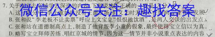 甘肃省2024届高三12月高三阶段检测语文