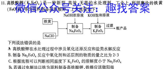 q河北省2023-2024学年第一学期九年级期中学情质量检测化学