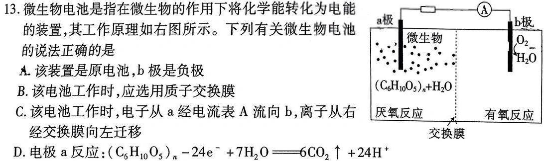 【热荐】陕西省蒲城县2024届高三第一次对抗赛(12月)化学