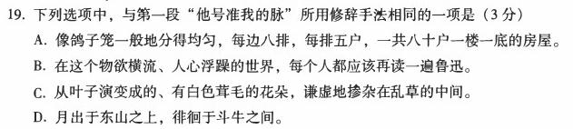 2024届高三12月大联考（全国乙卷）语文试卷 答案
