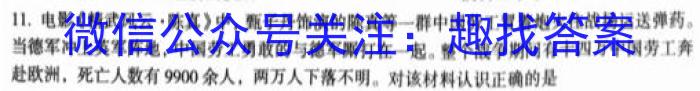 安徽省2023-2024学年度第一学期九年级期中综合性作业设计历史试卷