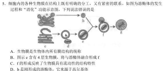 山东省泗水县2023-2024学年第一学期高三年级期中考试生物