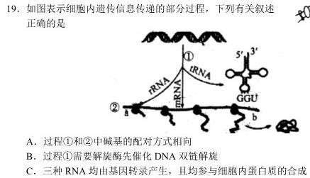 辽宁省名校联盟2023-2024学年高一上学期12月联合考试生物学试题答案