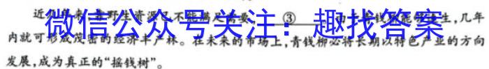 海南省临高县2023年九年级教学质量监测/语文