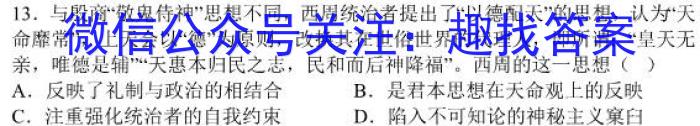 安徽省2023-2024学年度九年级秋学期第三次质量检测历史