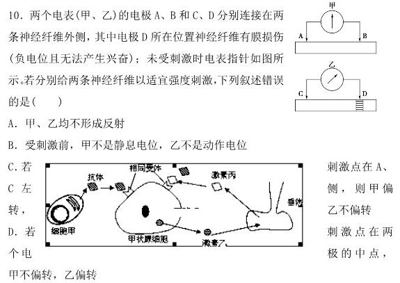 天一大联考山西省三晋名校联盟 2024届高三上学期顶尖计划联考生物