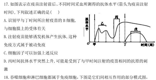 智慧上进 2024届高三11月一轮总复习调研测试生物学试题答案