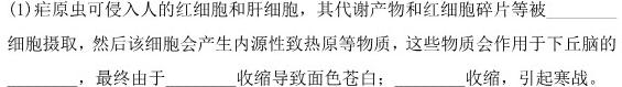 安徽省2023-2024学年九年级第一学期蚌埠G5教研联盟期中考试生物学试题答案