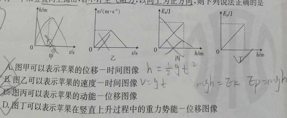 [今日更新]湖北省2024届高三湖北十一校第一次联考.物理试卷答案