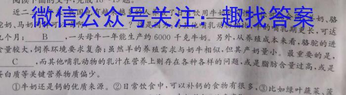 山西省2023-2024学年度九年级第一学期期中学情调研(A)语文