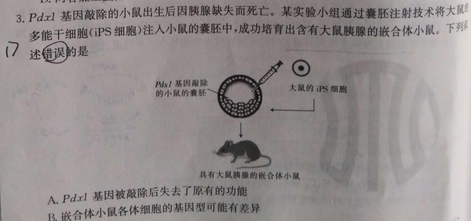 ［江西大联考］江西省2024届高三11月联考生物