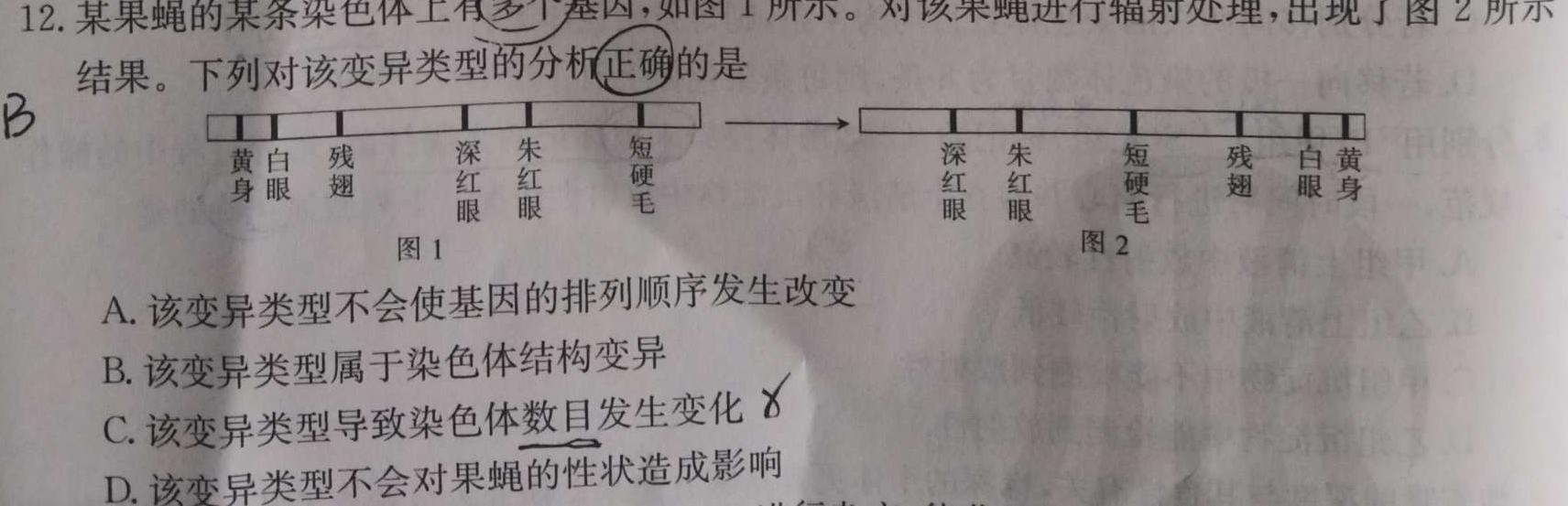 安徽省2023-2024学年第一学期高一年级期中联考生物