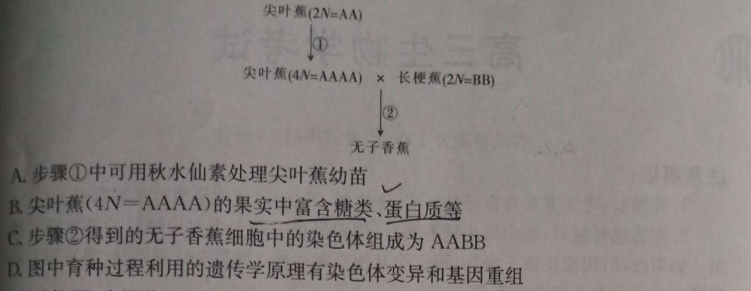 2023-2024学年度上学期高三年级自我提升三(HZ)生物学试题答案