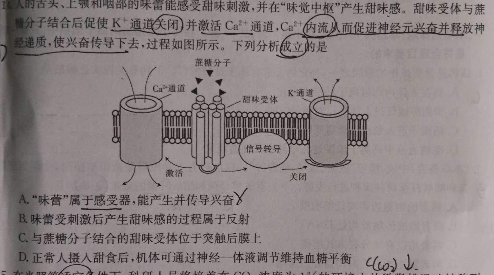 2024届江西省九江市九年级教学质量检测（二）生物