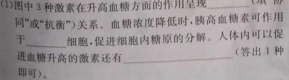 江西省“三新”协同教研共同体2023年12月份高二年级联合考试（双菱形）生物学试题答案